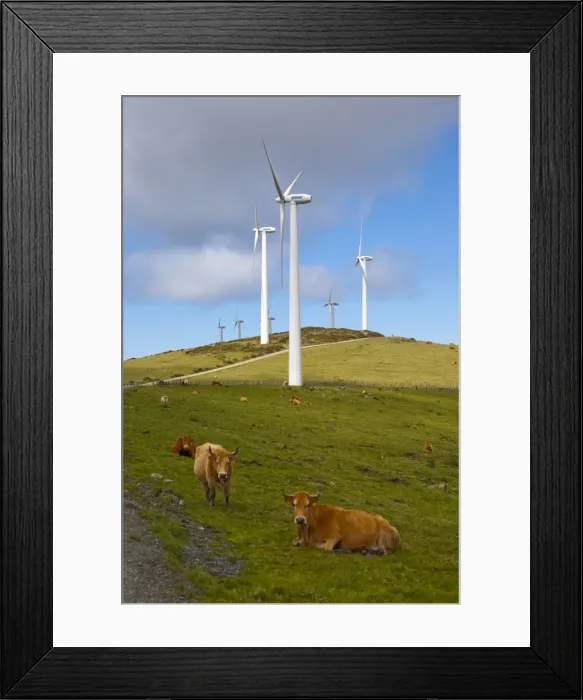 Framed Print : Wind farm and cows, Ortiguera area, A Coruna, Galicia, Spain, Europe Framed Print : Wind farm and cows, Ortiguera area, A Coruna, Galicia, Spain, Europe