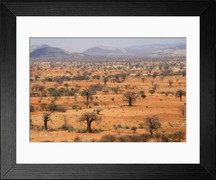 Framed Print : Masai steppe, near Arusha, Tanzania, East Africa, Africa Framed Print : Masai steppe, near Arusha, Tanzania, East Africa, Africa