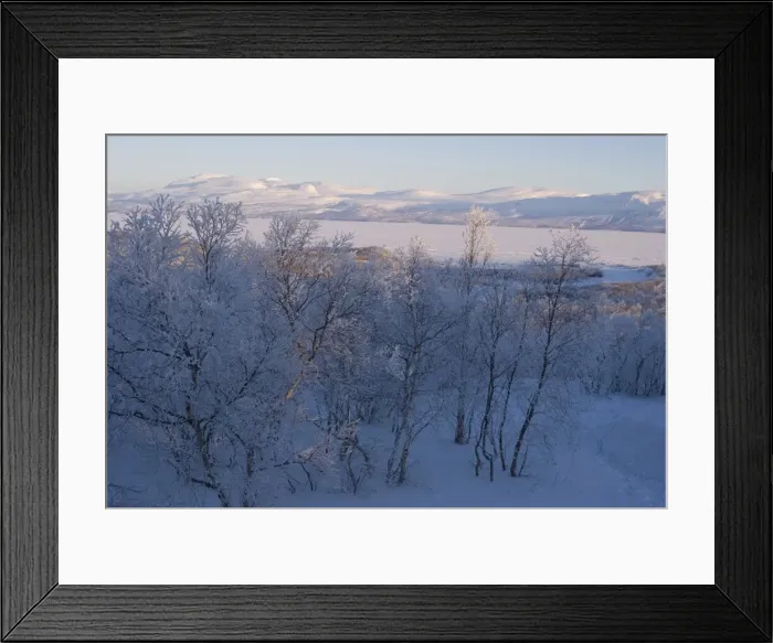 Framed Print : Snow-covered scenery, Abisko, Sweden, Scandinavia, Europe Framed Print : Snow-covered scenery, Abisko, Sweden, Scandinavia, Europe