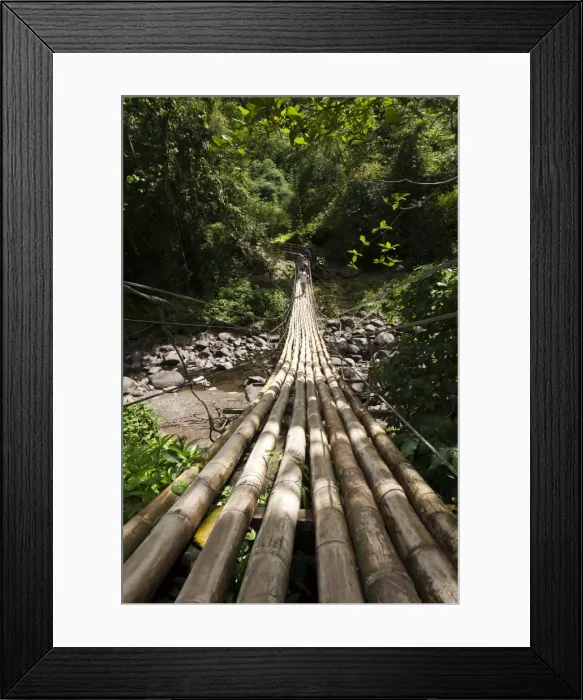 Framed Print : Bamboo bridge at Dark View Falls, St. Vincent and The Grenadines, Windward Islands Framed Print : Bamboo bridge at Dark View Falls, St. Vincent and The Grenadines, Windward Islands