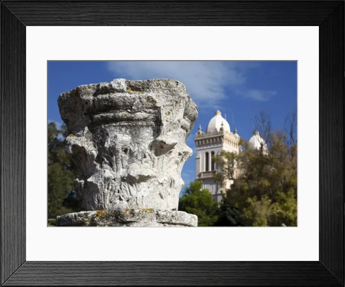 Framed Print : Byrsa Hill, St. Louis Cathedral Towers and Ruins of sculpted pillar in the Punic Quarter Framed Print : Byrsa Hill, St. Louis Cathedral Towers and Ruins of sculpted pillar in the Punic Quarter