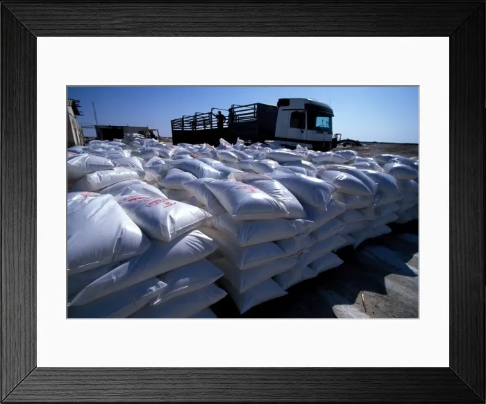 Framed Print : Chott el-Djerid salt bags, Tozeur, Tunisia, North Africa, Africa Framed Print : Chott el-Djerid salt bags, Tozeur, Tunisia, North Africa, Africa