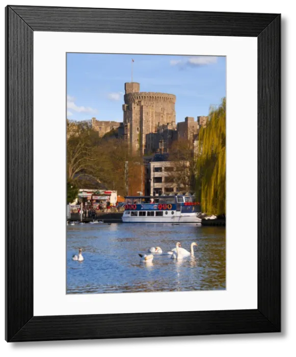Framed Print : Windsor Castle and River Thames, Windsor, Berkshire, England, United Kingdom, Europe Framed Print : Windsor Castle and River Thames, Windsor, Berkshire, England, United Kingdom, Europe
