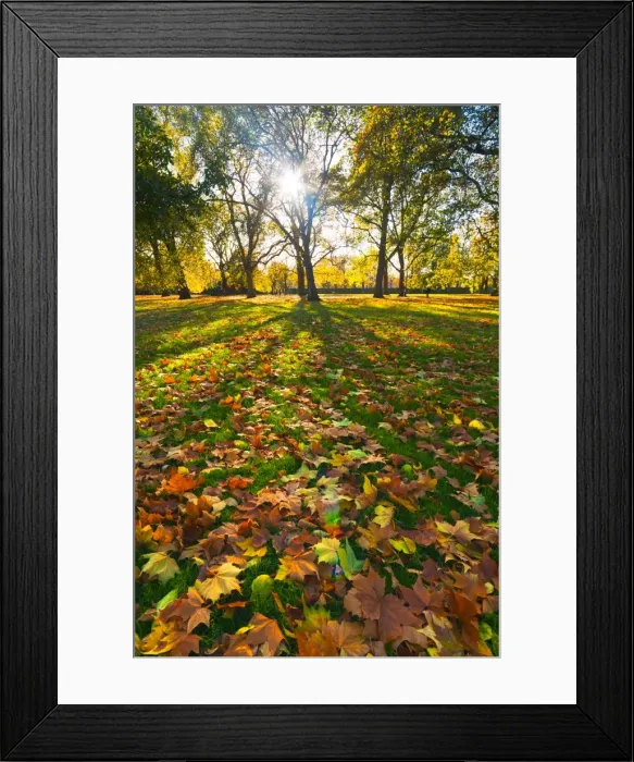 Framed Print : Hyde Park in autumn, London, England, United Kingdom, Europe Framed Print : Hyde Park in autumn, London, England, United Kingdom, Europe