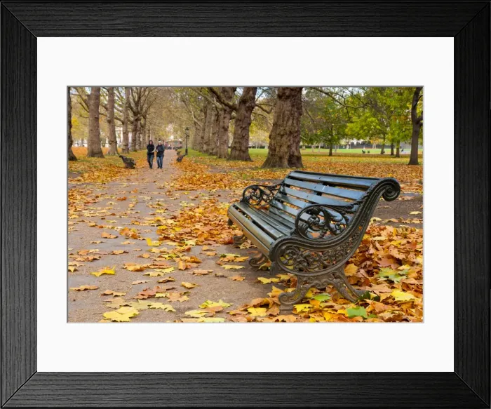 Framed Print : Green Park in autumn, London, England, United Kingdom, Europe Framed Print : Green Park in autumn, London, England, United Kingdom, Europe
