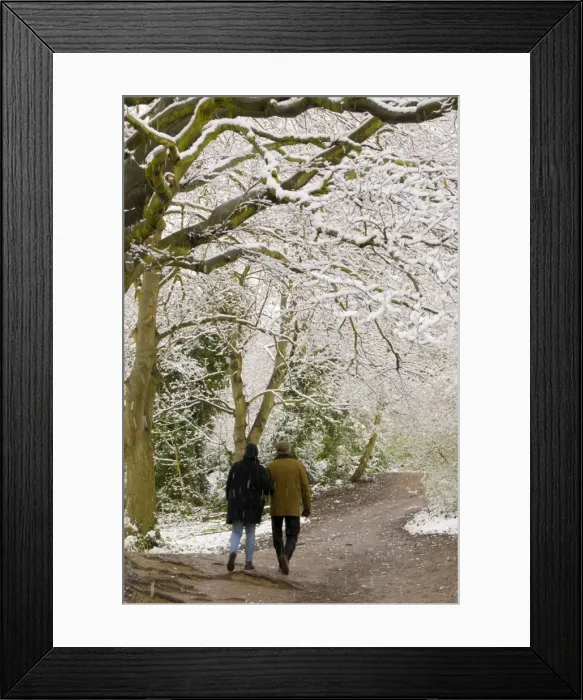 Framed Print : Hampstead Heath in the snow, London, England, United Kingdom, Europe Framed Print : Hampstead Heath in the snow, London, England, United Kingdom, Europe