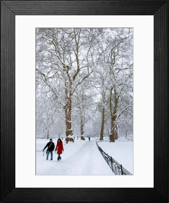 Framed Print : St. James Park, London, England, United Kingdom, Europe Framed Print : St. James Park, London, England, United Kingdom, Europe
