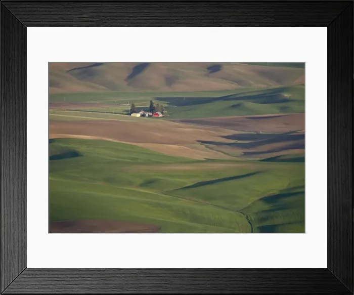 Framed Print : Rolling hills, The Palouse, Whitman County, Washington State, United States of America