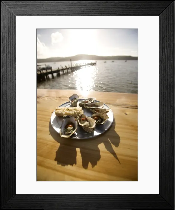 Framed Print : Oysters on half shells, California, United States of America, North America Framed Print : Oysters on half shells, California, United States of America, North America