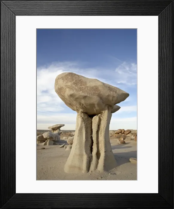 Framed Print : Hoodoo, Bisti Wilderness, New Mexico, United States of America, North America Framed Print : Hoodoo, Bisti Wilderness, New Mexico, United States of America, North America