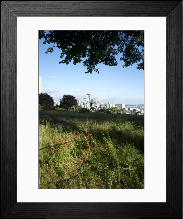 Framed Print : Vacant lot across the street from Kerry Park, Seattles best destination to view the skyline Framed Print : Vacant lot across the street from Kerry Park, Seattles best destination to view the skyline