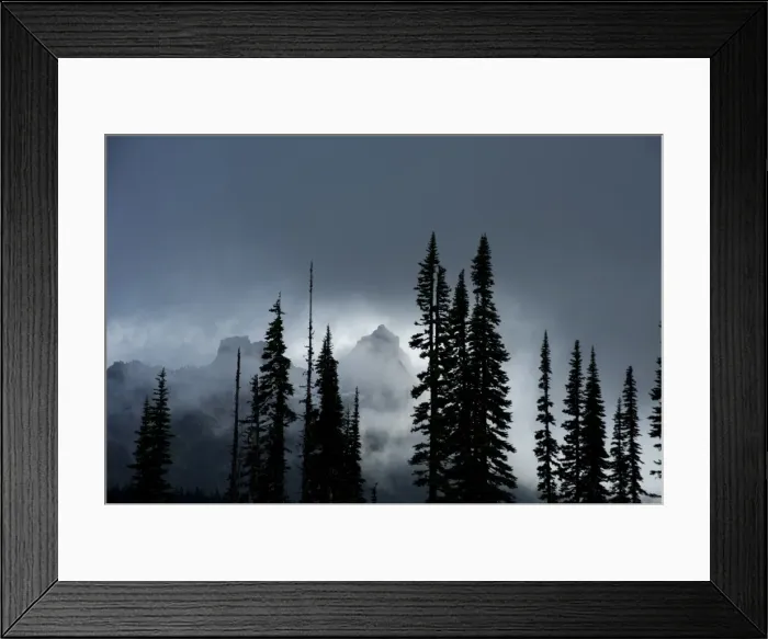 Framed Print : The Tatoosh Range covered in fog with Subalpine Fir trees silhouetted in foreground Framed Print : The Tatoosh Range covered in fog with Subalpine Fir trees silhouetted in foreground