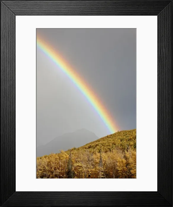 Framed Print : Rainbow with fall colors near King Mountain State Recreation Area and Chickaloon Framed Print : Rainbow with fall colors near King Mountain State Recreation Area and Chickaloon