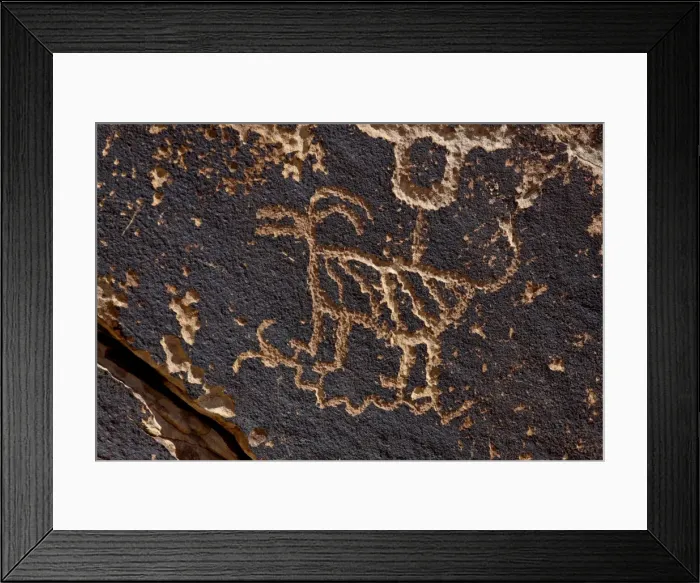 Framed Print : Bighorn sheep petroglyph, Petrified Forest National Park, Arizona, United States of America Framed Print : Bighorn sheep petroglyph, Petrified Forest National Park, Arizona, United States of America