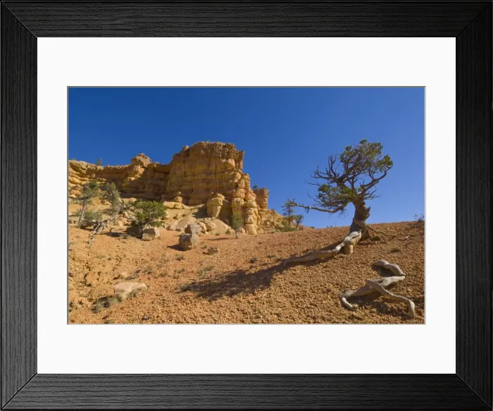 Framed Print : Sandstone cliffs of Claron formation, Pink Ledges Trail, Red Canyon, Utah Framed Print : Sandstone cliffs of Claron formation, Pink Ledges Trail, Red Canyon, Utah