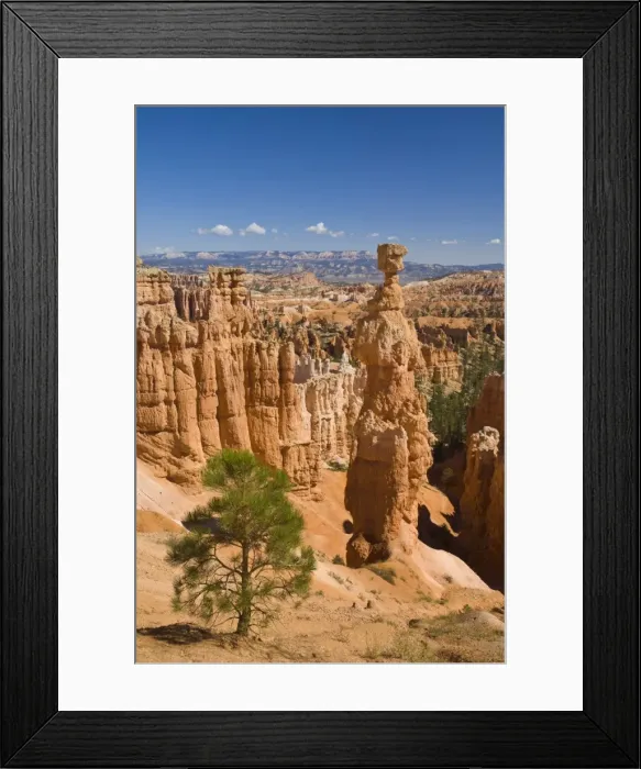 Framed Print : Thors Hammer, an iconic hoodoo on the Navajo trail, a hiking trail through Bryce Amphitheater Framed Print : Thors Hammer, an iconic hoodoo on the Navajo trail, a hiking trail through Bryce Amphitheater