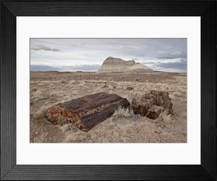 Framed Print : Petrified wood and an eroded hill, Petrified Forest National Park, Arizona Framed Print : Petrified wood and an eroded hill, Petrified Forest National Park, Arizona