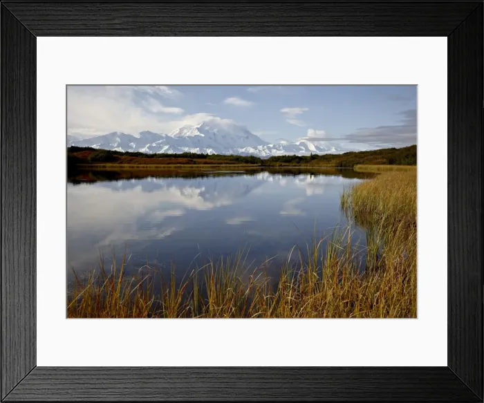 Framed Print : Mount McKinley reflected in a pond, Denali National Park and Preserve, Alaska