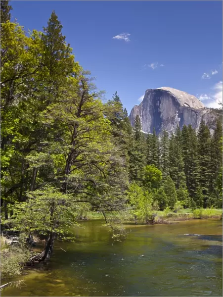 Half Dome granite monolith, Merced River, Yosemite Valley, Yosemite National Park