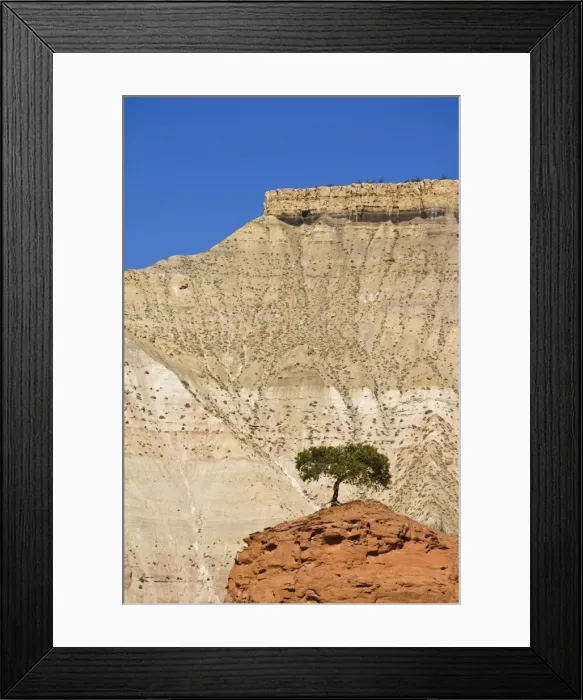 Framed Print : Lone tree, Kodachrome Basin State Park, Grand Staircase-Escalante National Monument Framed Print : Lone tree, Kodachrome Basin State Park, Grand Staircase-Escalante National Monument