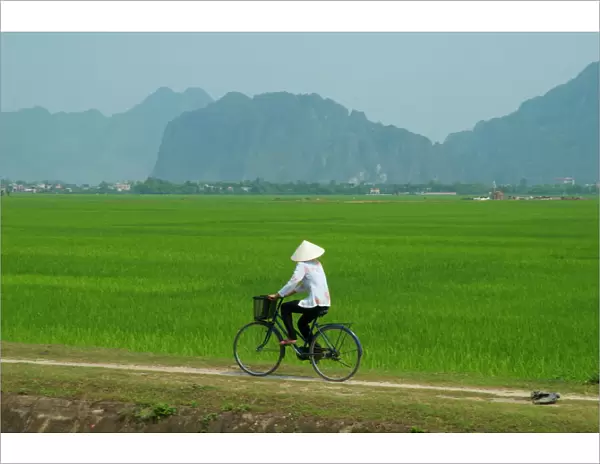 Vietnamese woman on bicycle, Tam Coc, Kenh Ga, Ninh Binh area, Vietnam
