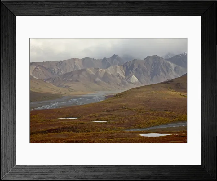 Framed Print : Mountains and tundra in fall color, Denali National Park and Preserve, Alaska Framed Print : Mountains and tundra in fall color, Denali National Park and Preserve, Alaska