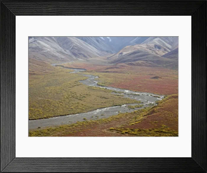 Framed Print : Braided river in the fall, Denali National Park and Preserve, Alaska, United States of America Framed Print : Braided river in the fall, Denali National Park and Preserve, Alaska, United States of America