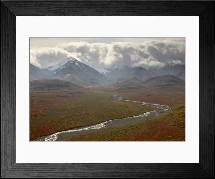 Framed Print : Mountains and a stream through the tundra in fall color, Denali National Park Framed Print : Mountains and a stream through the tundra in fall color, Denali National Park