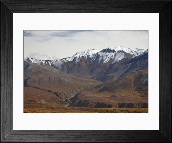 Framed Print : Snow-capped mountains and tundra in fall color, Denali National Park and Preserve Framed Print : Snow-capped mountains and tundra in fall color, Denali National Park and Preserve