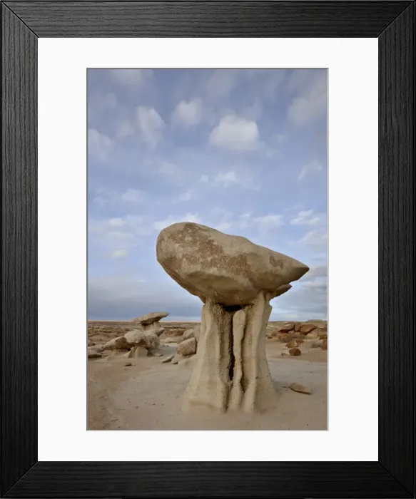 Framed Print : Mushroom-like hoodoo, Bisti Wilderness, New Mexico, United States of America Framed Print : Mushroom-like hoodoo, Bisti Wilderness, New Mexico, United States of America