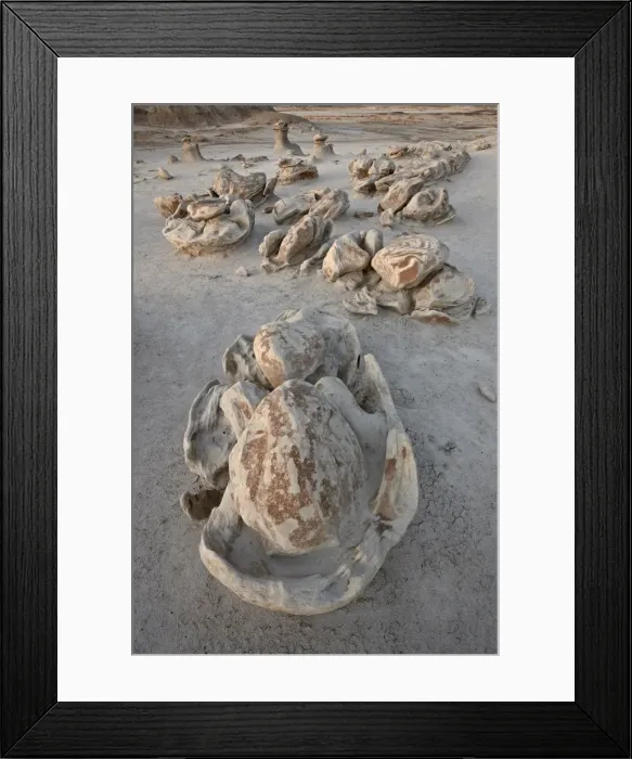Framed Print : Eggs at the Egg Factory, Bisti Wilderness, New Mexico, United States of America Framed Print : Eggs at the Egg Factory, Bisti Wilderness, New Mexico, United States of America