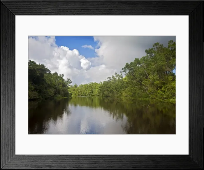 Framed Print : Delta Amacuro, Orinoco Delta, Venezuela, South America Framed Print : Delta Amacuro, Orinoco Delta, Venezuela, South America
