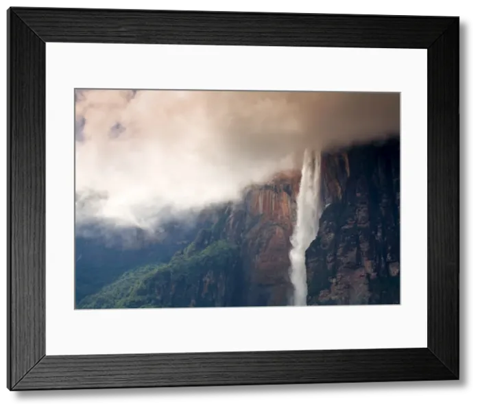 Framed Print : Angel Falls, Canaima National Park, UNESCO World Heritage Site, Guayana Highlands Framed Print : Angel Falls, Canaima National Park, UNESCO World Heritage Site, Guayana Highlands