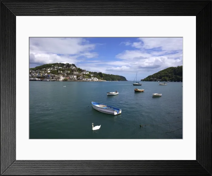 Framed Print : Swan and boats in the River Dart estuary in Dartmouth, Devon, England, United Kingdom Framed Print : Swan and boats in the River Dart estuary in Dartmouth, Devon, England, United Kingdom