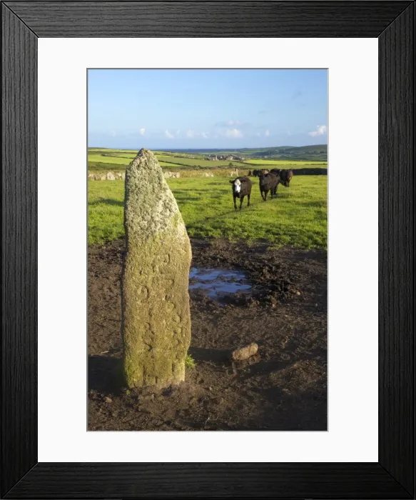 Framed Print : Men Scryfa granite pillar, dating from the 5th or 6th century, with inscription reading Rialobran Cunoval (Of the Royal Raven son of the Glorious Prince), Madron, Lands End Peninsula, Cornwall, England, United Framed Print : Men Scryfa granite pillar, dating from the 5th or 6th century, with inscription reading Rialobran Cunoval (Of the Royal Raven son of the Glorious Prince), Madron, Lands End Peninsula, Cornwall, England, United