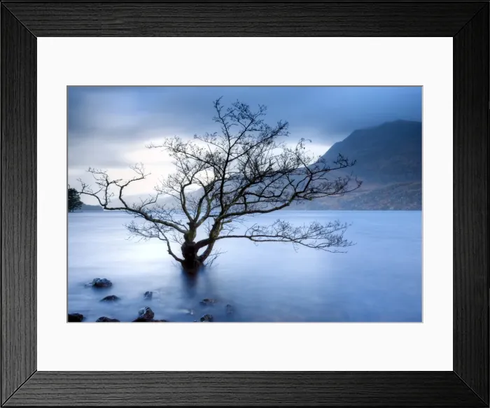 Framed Print : Partially submerged tree in Loch Maree on a stormy day, near Poolewe, Achnasheen Framed Print : Partially submerged tree in Loch Maree on a stormy day, near Poolewe, Achnasheen