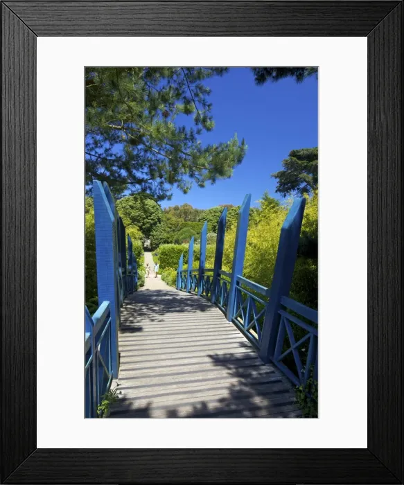 Framed Print : Blue Japanese-style bridge in the sub-tropical Abbey Gardens, Island of Tresco Framed Print : Blue Japanese-style bridge in the sub-tropical Abbey Gardens, Island of Tresco