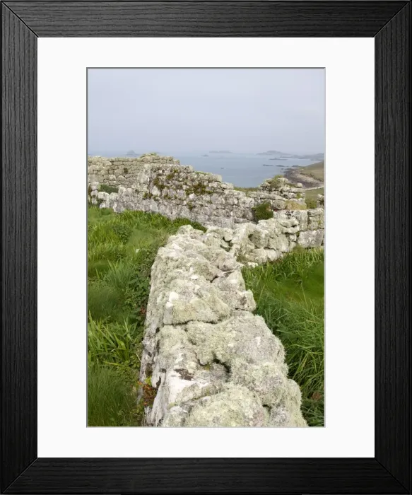 Framed Print : Stone walls, Samson, Isles of Scilly, United Kingdom, Europe Framed Print : Stone walls, Samson, Isles of Scilly, United Kingdom, Europe