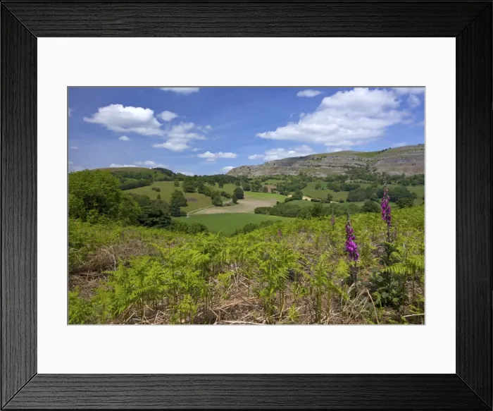 Framed Print : View towards limestone escarpment of Creigiau Eglwyseg, from Castell Dinas Bran Framed Print : View towards limestone escarpment of Creigiau Eglwyseg, from Castell Dinas Bran