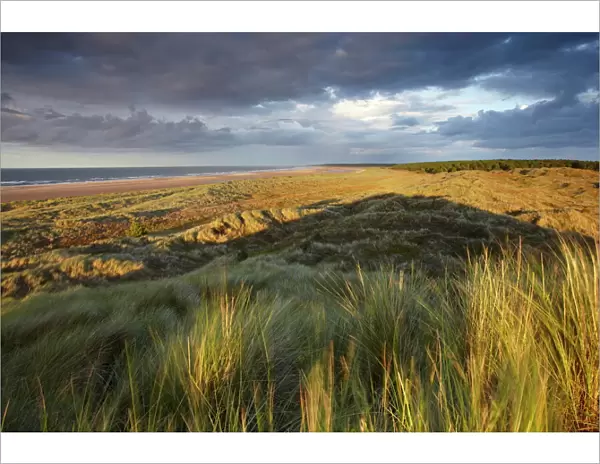 Dramatic last light on the dunes overlooking Holkham Bay, Norfolk, England