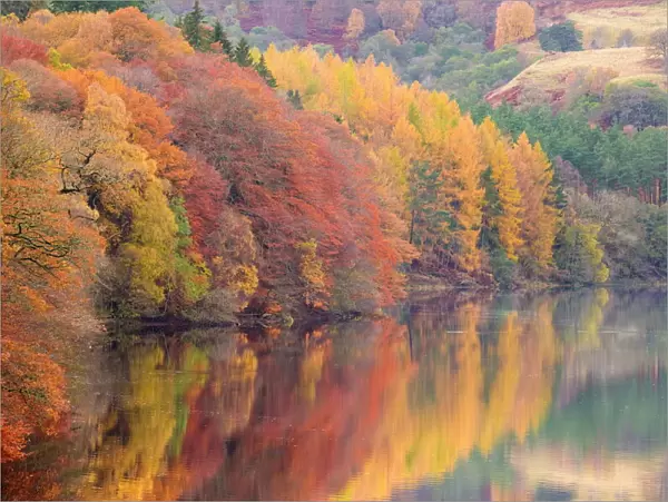 Autumn colour on the banks of the River Tummel near Pitlochry, Scotland