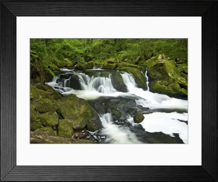 Framed Print : River Fowey at Golitha Falls National Nature Reserve, sessile oak woodland Framed Print : River Fowey at Golitha Falls National Nature Reserve, sessile oak woodland