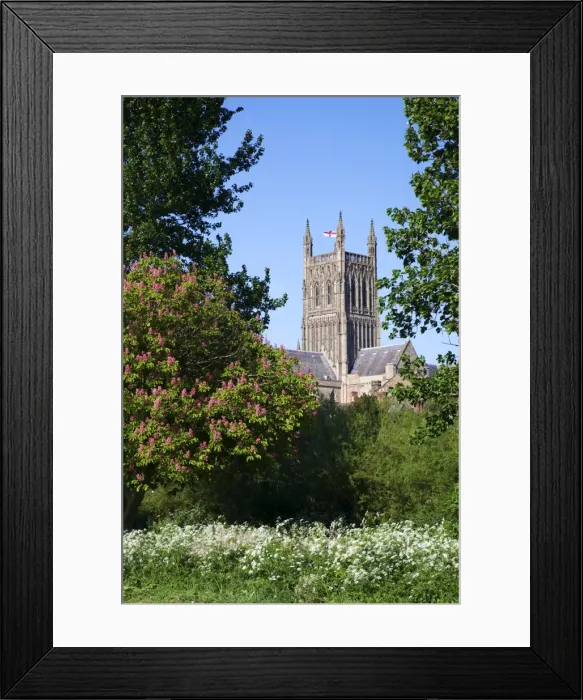 Framed Print : Worcester Cathedral in spring sunshine, Worcester, Worcestershire, England Framed Print : Worcester Cathedral in spring sunshine, Worcester, Worcestershire, England