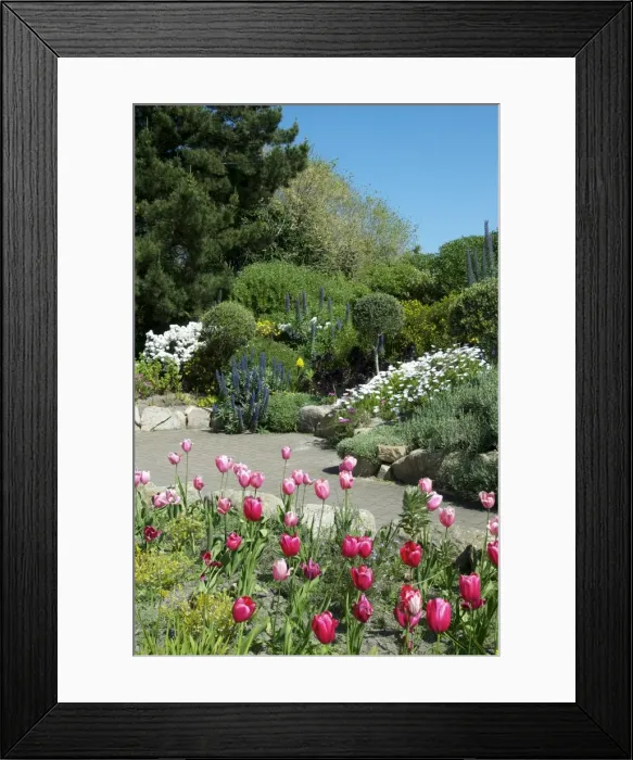 Framed Print : Isles of Scilly, United Kingdom, Europe Framed Print : Isles of Scilly, United Kingdom, Europe