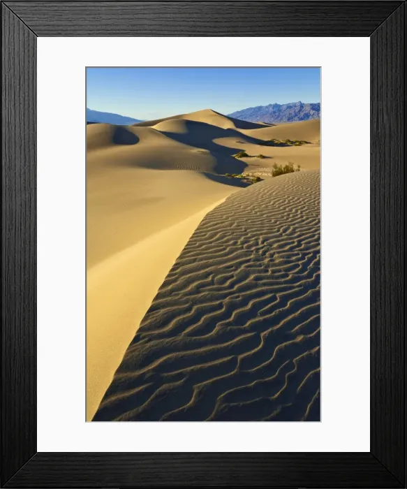 Framed Print : Sand ripples, Mesquite bushes in the mesquite Flats sand dunes, Grapevine Mountains of the Amargosa range behind, Stovepipe Wells, Death Valley National Park, California, United States of America Framed Print : Sand ripples, Mesquite bushes in the mesquite Flats sand dunes, Grapevine Mountains of the Amargosa range behind, Stovepipe Wells, Death Valley National Park, California, United States of America