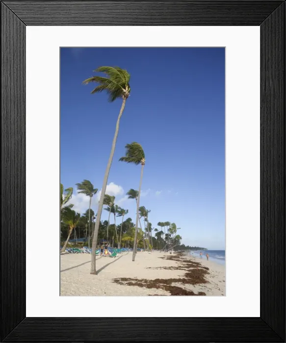 Framed Print : Bavaro Beach, Punta Cana, Dominican Republic, West Indies, Caribbean, Central America Framed Print : Bavaro Beach, Punta Cana, Dominican Republic, West Indies, Caribbean, Central America