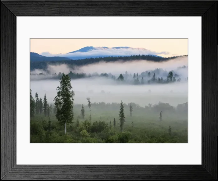 Framed Print : Early morning mist in Wells Grey Provincial Park, British Columbia, Canada, North America Framed Print : Early morning mist in Wells Grey Provincial Park, British Columbia, Canada, North America
