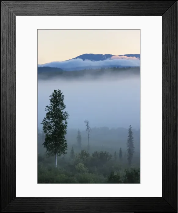 Framed Print : Early morning mist in Wells Grey Provincial Park, British Columbia, Canada, North America Framed Print : Early morning mist in Wells Grey Provincial Park, British Columbia, Canada, North America