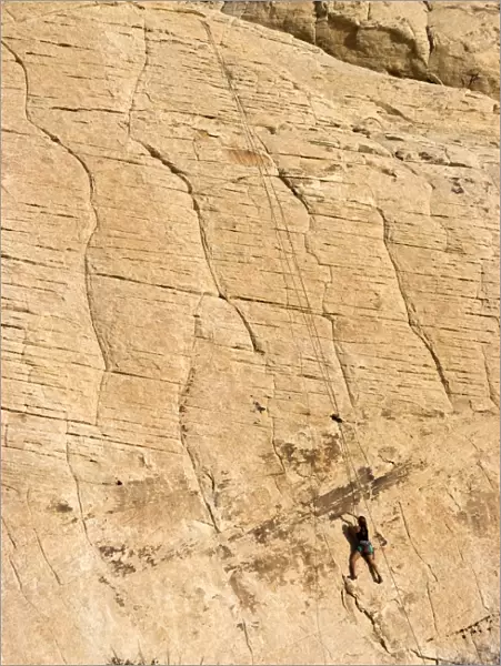 Rock climber, Red Rock National Conservation Area, Las Vegas, Nevada, United States of America