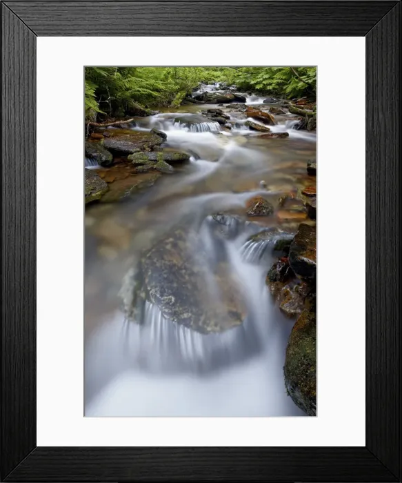 Framed Print : Cascades on Yellow Dog Creek, Coeur d Alene National Forest, Idaho Panhandle National Forests Framed Print : Cascades on Yellow Dog Creek, Coeur d Alene National Forest, Idaho Panhandle National Forests